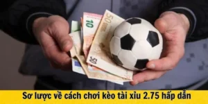 Hướng Dẫn Soi Kèo 2.75 Tại BongDaLu Và Cách Tính Tiền Chính Xác