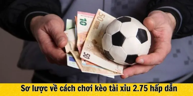 Hướng Dẫn Soi Kèo 2.75 Tại BongDaLu Và Cách Tính Tiền Chính Xác