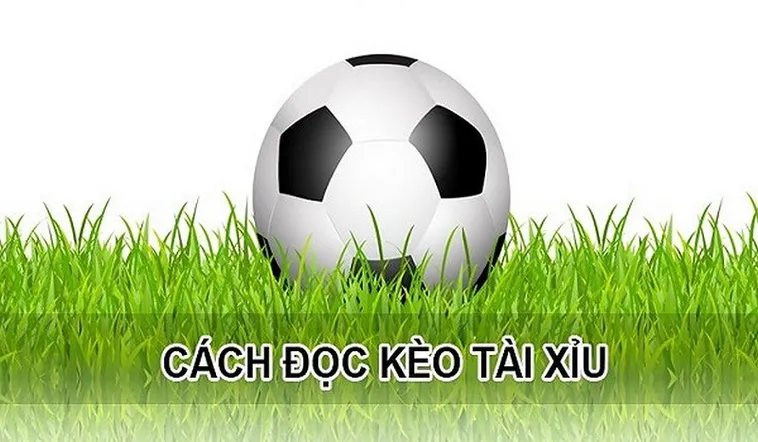 Bí Quyết Làm Chủ Kèo Tài Xỉu Tại BongDaLu Cho Người Mới
