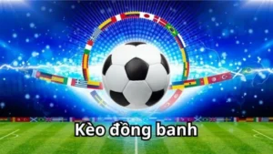 Bí Quyết Chinh Phục Kèo Đồng Banh Tại BongDaLu Cực Kỳ Đơn Giản
