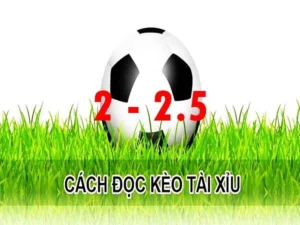 Bí Kíp Soi Kèo 2.25 Tại BongDaLu Giúp Bạn Thắng Lớn Mỗi Ngày