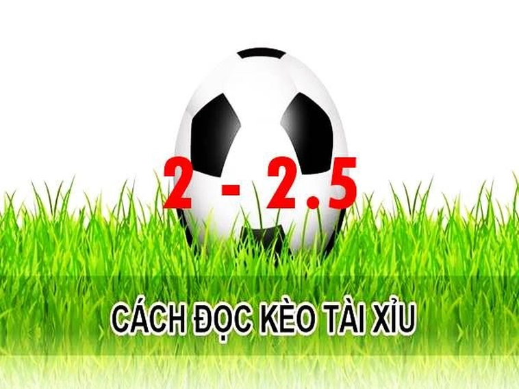 Bí Kíp Soi Kèo 2.25 Tại BongDaLu Giúp Bạn Thắng Lớn Mỗi Ngày