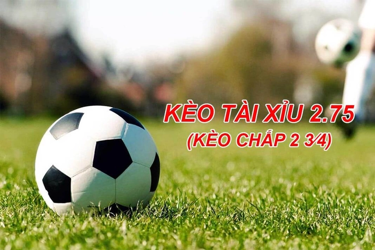 Hướng Dẫn Soi Kèo 2.75 Tại BongDaLu Và Cách Tính Tiền Chính Xác