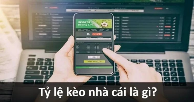 Bí Kíp Soi Kèo Bóng Đá Tại BongDaLu Cực Chuẩn Xác Cho Tân Thủ