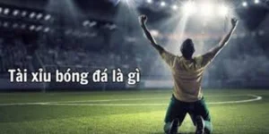 Bí Quyết Làm Chủ Kèo Tài Xỉu Tại BongDaLu Cho Người Mới