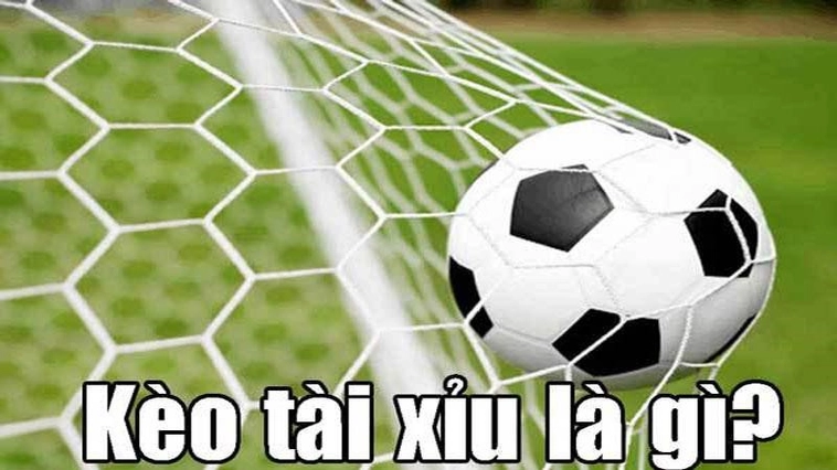 Kèo Tài Xỉu Bóng Đá Tại BongDaLu Cập Nhật Tỷ Lệ Và Bí Kíp Soi Kèo Chuẩn 2026