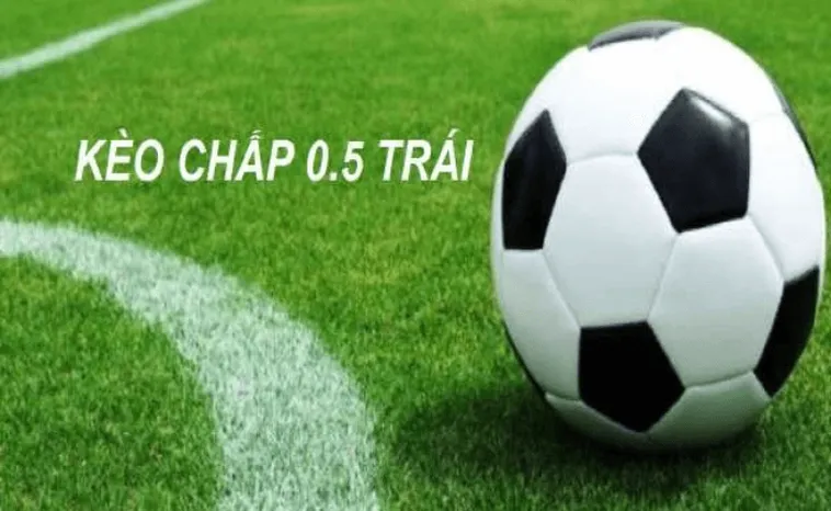Phân Tích Kèo Chấp 0.5 Tại BongDaLu Và Chiến Thuật Đặt Cược Thông Minh