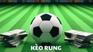Bí Quyết Chinh Phục Kèo Rung Trong Bóng Đá Tại BongDaLu Cực Đỉnh